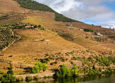 DOURO